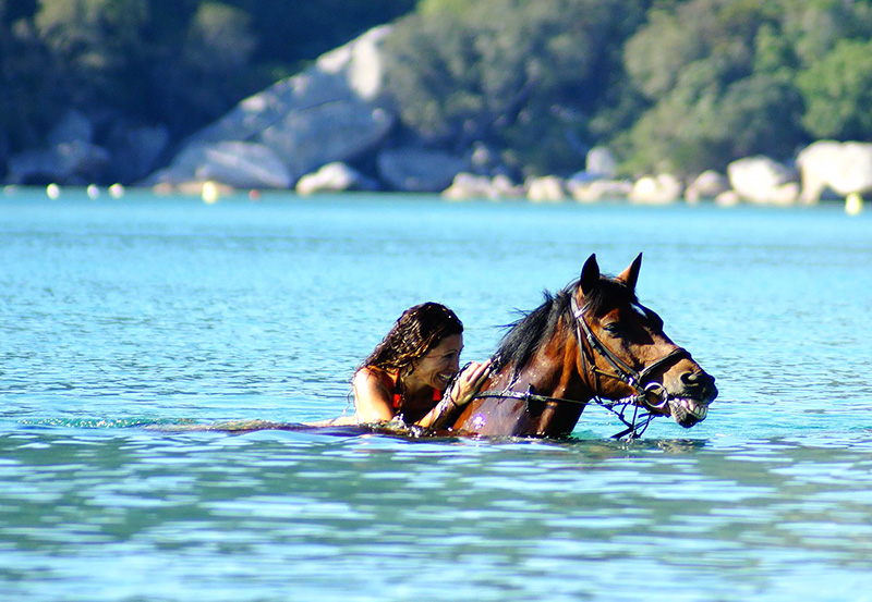  promenade equestre en en Corse