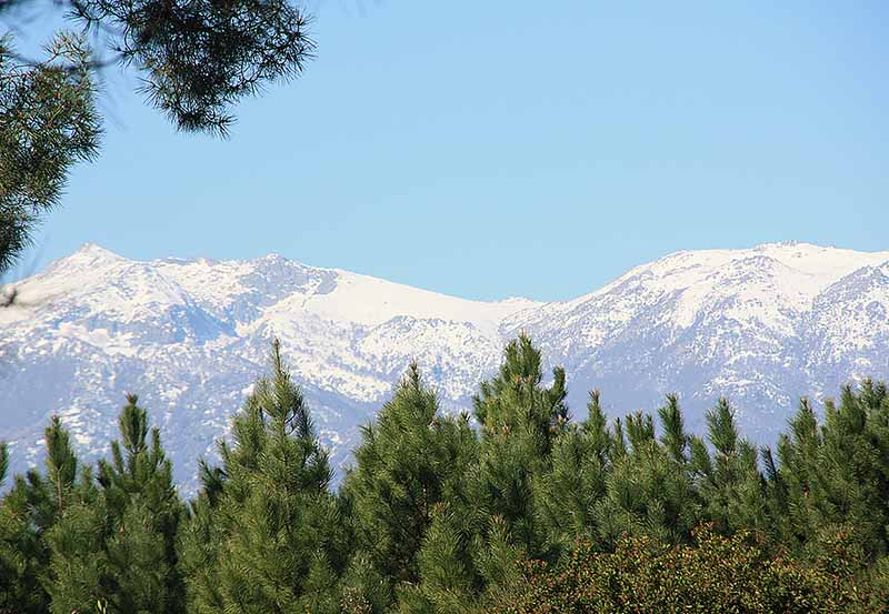 location de villas de vacances en corse avec piscine - mer et montagne